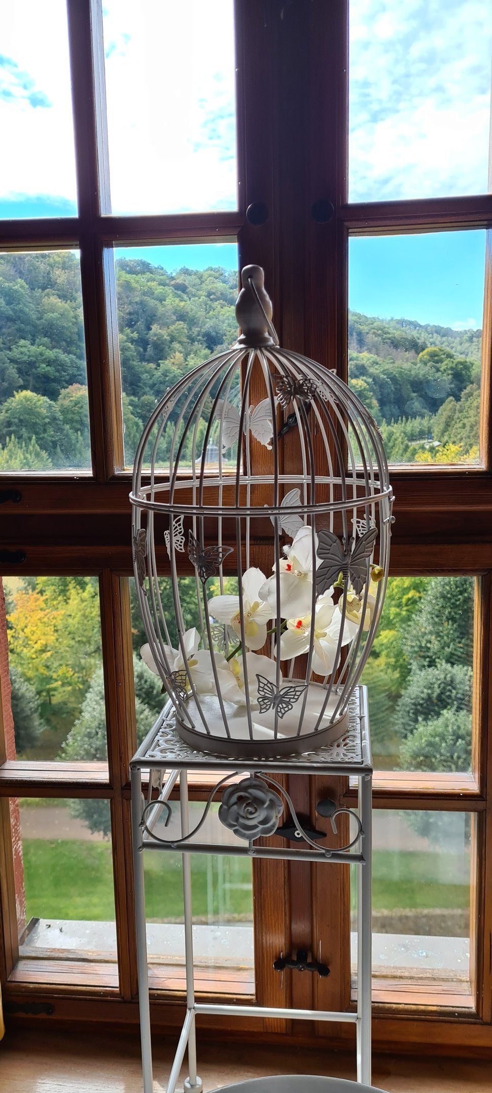 Vintage-Vogelkäfig mit Blumen als Hochzeitsdekoration am Fenster